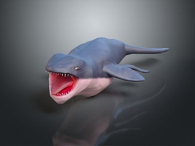 shark great white shark whale shark hammerhead shark tiger head shark man-eating shark blue shark coral red coral white coral 3d model