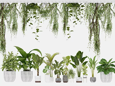 Potted Bonsai Plants With Hanging Green Foliage And Various Pots Collection 3d model