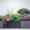 Colorful Flowers And Plants In Gray Wooden Flower Box With Yellow Purple Blooms Green Shrubs