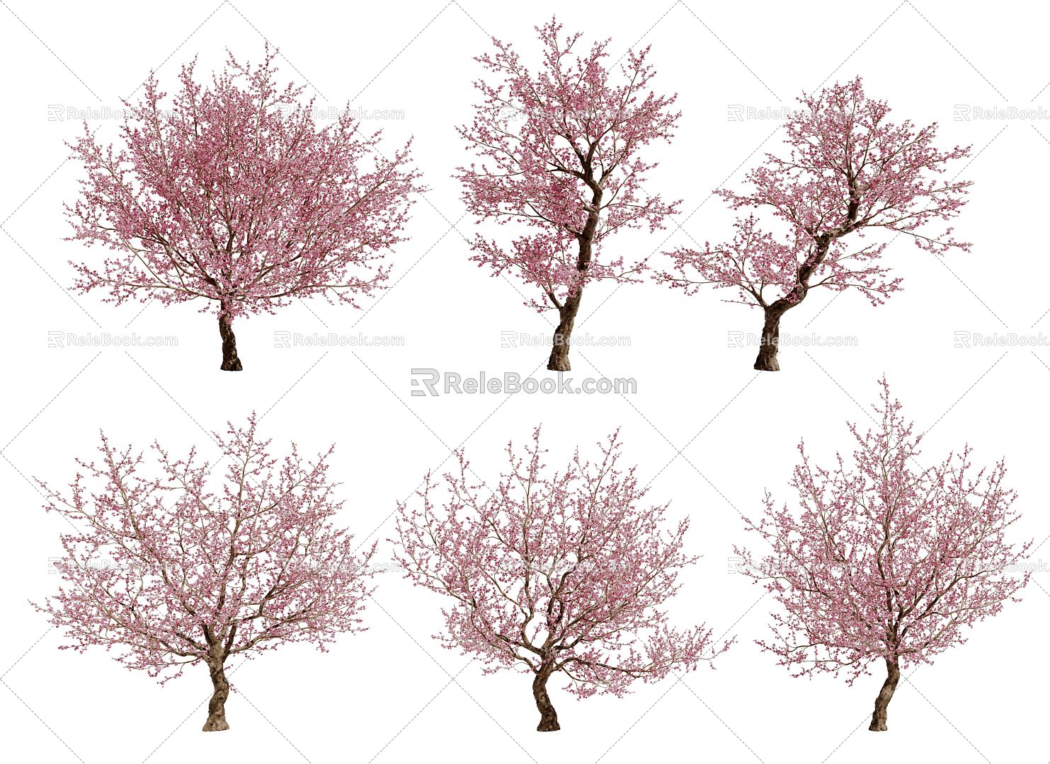 Peach Tree Modern Peach Tree Landscape 3d model