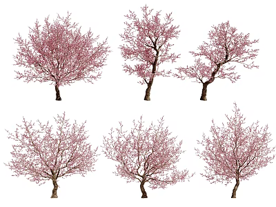 Trees With Pink Blossoms Various Shapes in Spring Natural Landscape 3d model