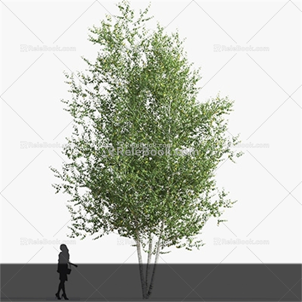 Trees 3d model