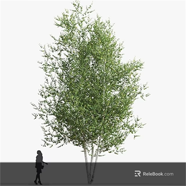 Garden Landscape With Green Tree Featuring Lush Foliage And Straight Trunk Near Human Figure 3d model 