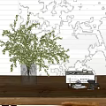 Green Plant In Glass Vase On Wooden Table With Books And Camera