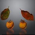 Orange Persimmons With Red Green Leaves Against Gray Background With Reflection
