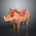 Realistic Warthog 3D Model With Brown Fur And Curved Tusks In Standing Pose