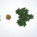 modern tree landscape tree arbor 3d model