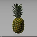 Fresh Ripe Pineapple with Green Leaves and Juicy Yellow Skin