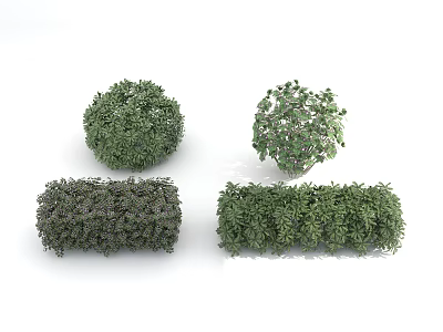 Neatly Trimmed Green Round And Long Rectangular Decorative Garden Plants For Landscaping 3d model