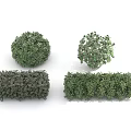 Neatly Trimmed Green Round And Long Rectangular Decorative Garden Plants For Landscaping