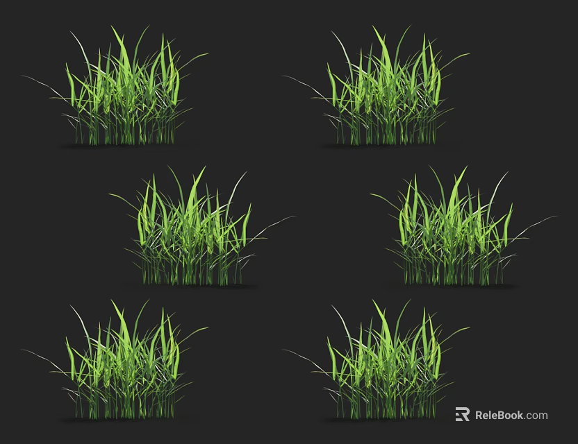 Vibrant Green Grass Tufts Displaying Lush Fresh Growth on Black Background 3d model 