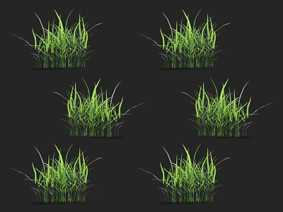 Vibrant Green Grass Tufts Displaying Lush Fresh Growth on Black Background 3d model