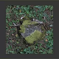 Natural Wooden Stump Covered with Moss and Surrounded by Green Leaves and Fallen Leaves
