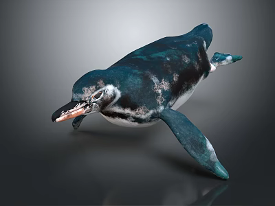 Realistic 3D Rendered Penguin With Teal And White Feathers In Swimming Pose 3d model