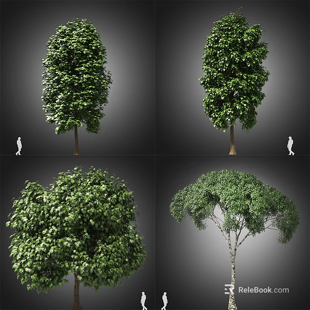 Arbor Trees In Various Forms With Lush Green Foliage And Distinct Canopies 3d model 