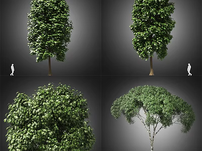 Arbor Trees In Various Forms With Lush Green Foliage And Distinct Canopies 3d model