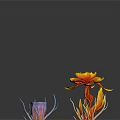 Colorful Tropical Plants With Vibrant Flowers And Coral Like Structures On Black Background