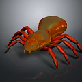 Realistic 3D Spider Model With Orange Brown Color And Multiple Legs