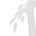 Tall Birch Tree With Green Leaves And White Trunk Beside Human Silhouette
