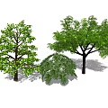 modern tree landscape tree arbor 3d model