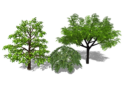 modern tree landscape tree arbor 3d model