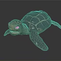 Modern Turtle Little Turtle Sea Turtle 3d model