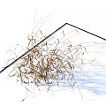 Dry Grass and Hard Stemmed Grass 3D Model for Landscape Design Projects 3d model
