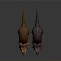 Two Vibrant Triceratops Dinosaurs With Colorful Frills And Textured Skin