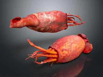 Vibrant Red Squid Aquatic Animals With Extended Tentacles On Dark Background 3d model