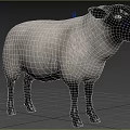 Black And White Sheep Standing On Green Grassland With Trees Background