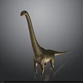 Realistic Sauropod Dinosaur 3D Model With Long Neck Standing On Gray Background
