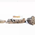 Natural Stone and Wood Decorative Pieces With Rustic Texture And Artistic Design