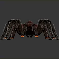 Realistic 3D Spider Model With Black Body Red Back And Orange Leg Tips
