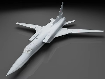 Detailed Grey Scale Aircraft Model With Streamlined Design And Smooth Surface 3d model