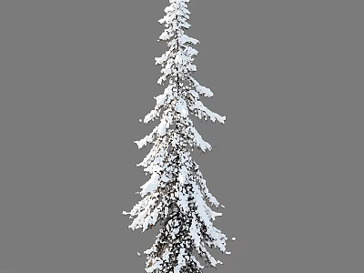 Tall Snow Covered Arbor With Dense Branches And White Snow 3d model