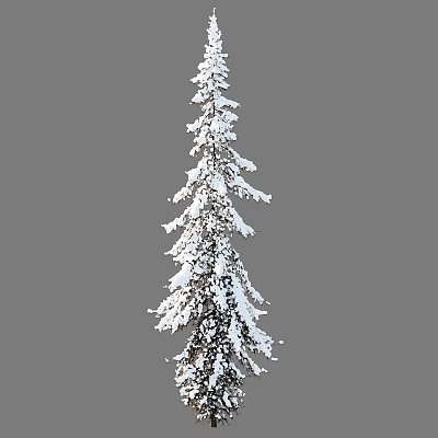 Tall Snow Covered Arbor With Dense Branches And White Snow 3d model