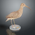 Bird Taxidermy Specimen With Long Curved Beak Brown Speckled Plumage Slender Legs On Transparent Base