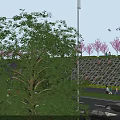 Waterfront Garden Landscape With Pink Flowering Trees Boat Pedestrian Path Green Areas And People Strolling