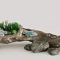 Creative Succulent Plant Arrangement with Wooden Branch Base and Decorative Stones