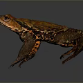 Brown Toad With Red Spots Prominent Eyes And Textured Skin On Dark Background