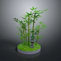 Tall Green Bamboo Plants With Small Lantern On Circular Green Base
