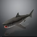 Realistic Gray Shark With Open Mouth Showing Red Teeth On Dark Display Surface