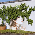 Scenic Photo Spot With Vine Covered Wall Girl Mural Wicker Basket And Grassy Ground