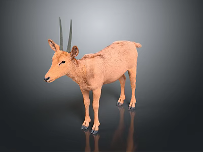 Soft Plush Antelope Toy With Realistic Design For Kids Playtime And Decoration 3d model