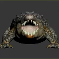 Crocodile Model With Open Mouth Shiny Skin And Gray Background Reflection 3d model