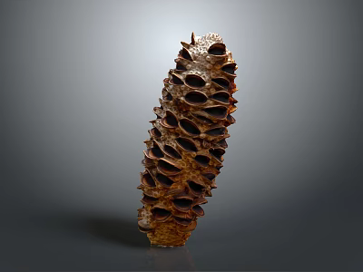 3D Rendered Brown Pine Cone With Detailed Spiky Texture And Hollow Openings 3d model