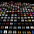 Large Collection Of Various Colored Different Style Shoes Neatly Arranged On