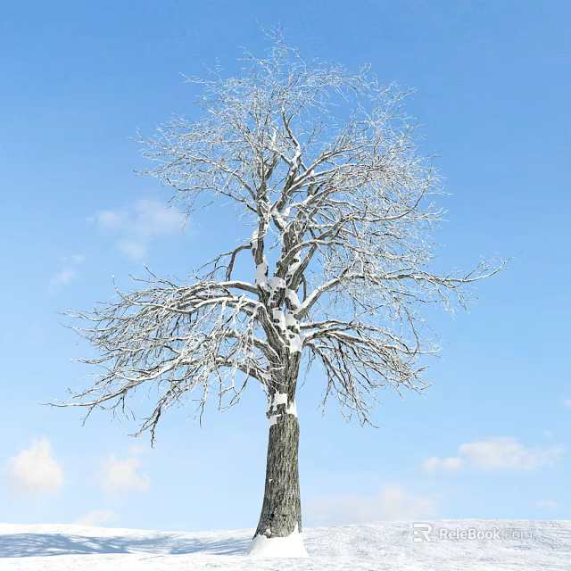 Snow Covered Arbor With Bare Branches Against Blue Sky And White Clouds 3d model 