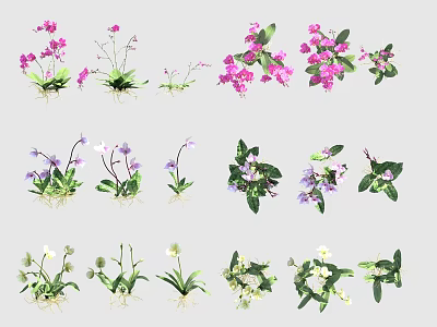 Various Potted Flowers And Plants With Different Colors For Indoor Decoration Collection 3d model