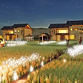 Starry Night Homestay Buildings Surrounded By Rice Field With White Lights And Windmill